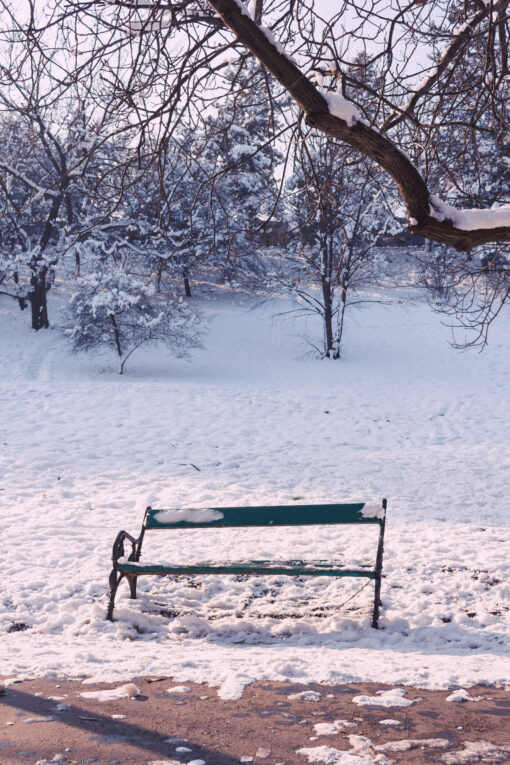 Empty bench