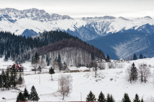 Winter landscape