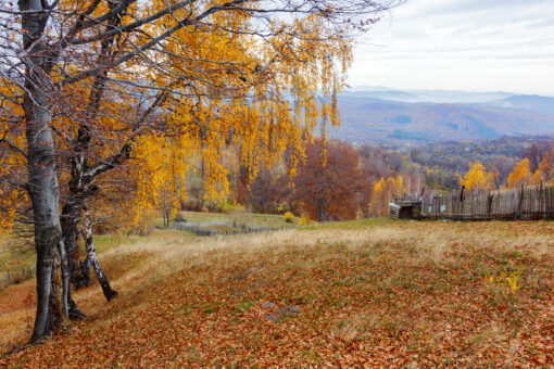 Autumn landscape