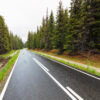 Road winding through forest