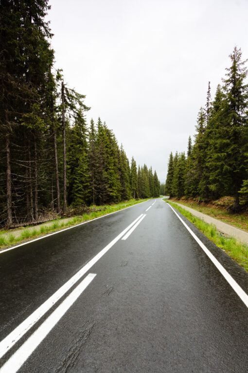 Wet empty road