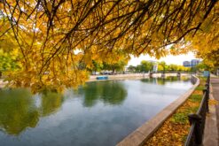 Fall colors