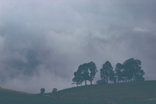 Fall landscape with trees and clouds