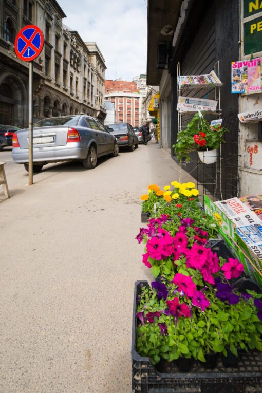 City street in Bucharest