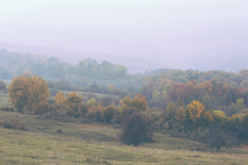 Fall landscape with haze over the hills