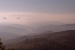 fog covered landscape
