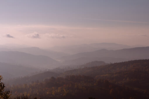 fog covered landscape