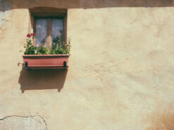 window
