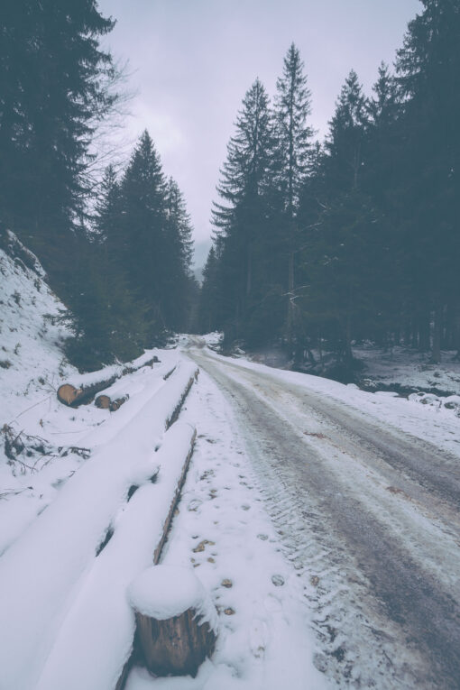 Winter road in the mountains