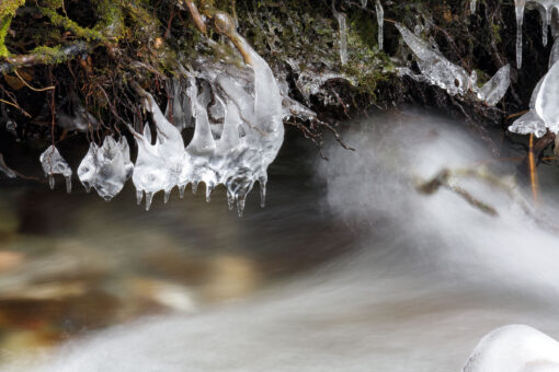 icicles