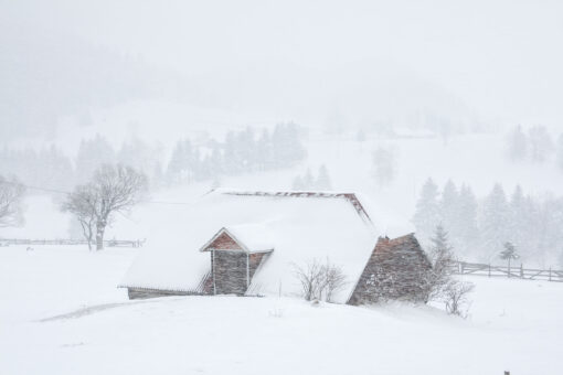 Old barn in heavy snow