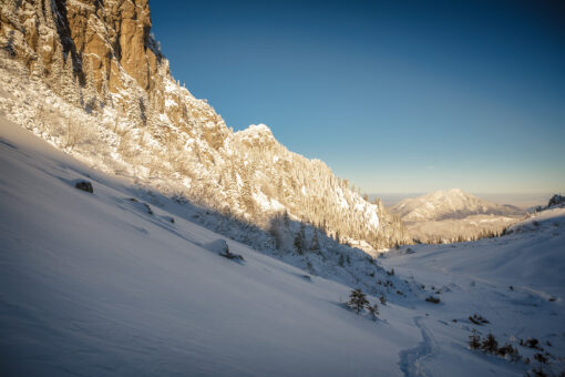 Winter landscape in the Carpathians