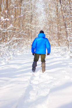 Solitary walk in the forest