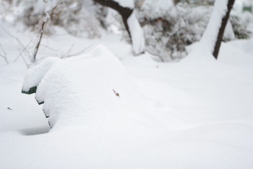 Snow Covered Bench in Early Winter