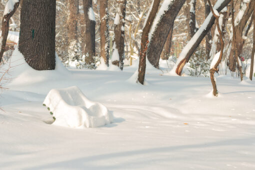 Snow-covered bench in the park