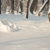 Snow covered park bench
