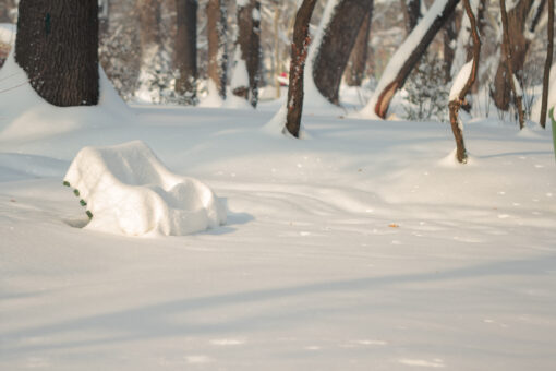 Snow covered park bench