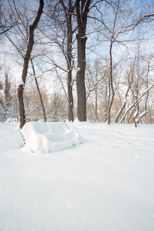 City park under snow