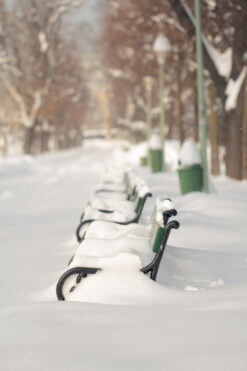 city park in winter