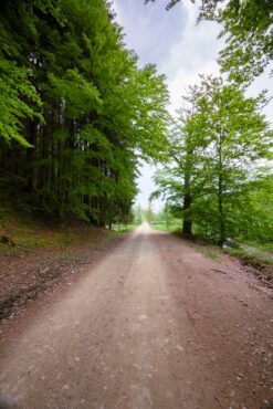 empty dirt road