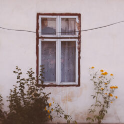 Wall and window in northern Romania