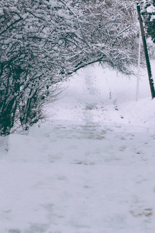 empty park alley in winter