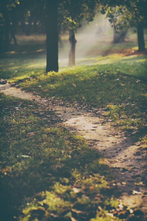 Park trail in fall