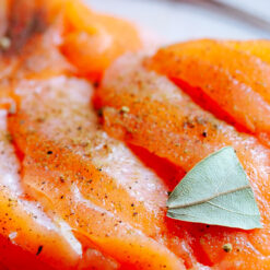 Salmon fillet with spices