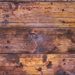 Wood background texture from wood planks