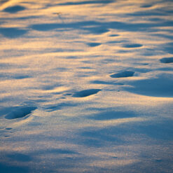 Snow field with footprints